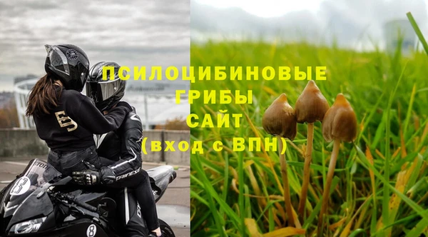 дмт Абдулино