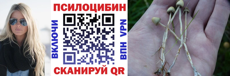 Галлюциногенные грибы MAGIC MUSHROOMS shop какой сайт Стерлитамак